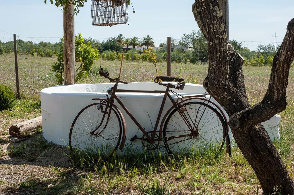 Pensao Agricola Guest House กาบานัส เด ตาวีรา ภายนอก รูปภาพ